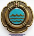 Water Rescue Badge